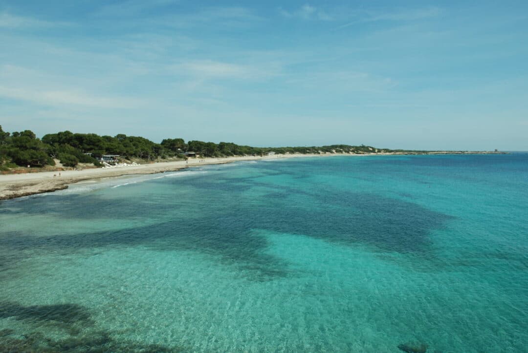 Spend A Day In Ses Salines.