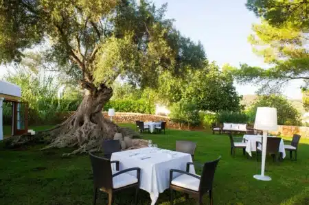 Discover Can Curreu: a paradise within paradise for enjoying good food and wellness in Ibiza