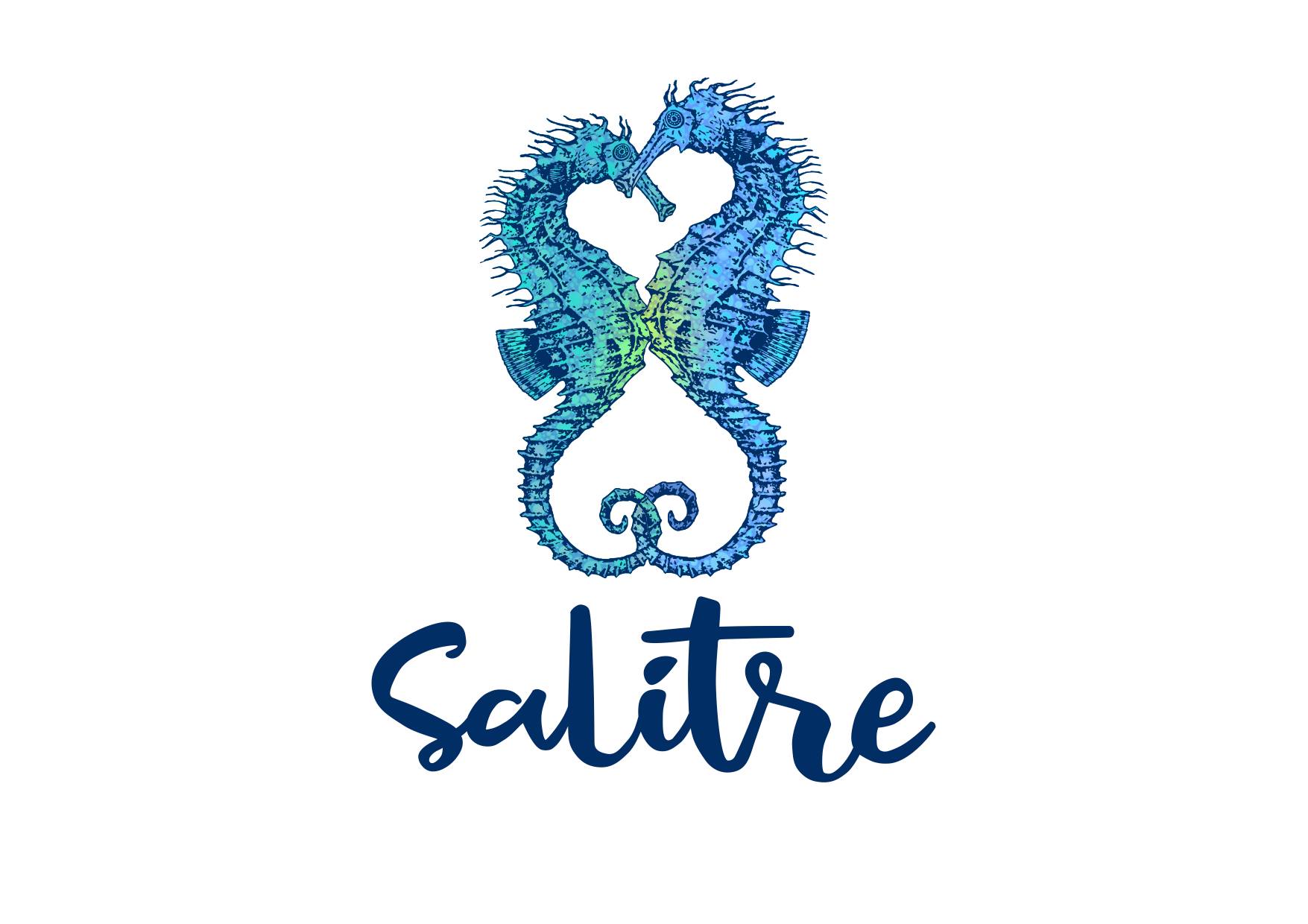 logo salitre