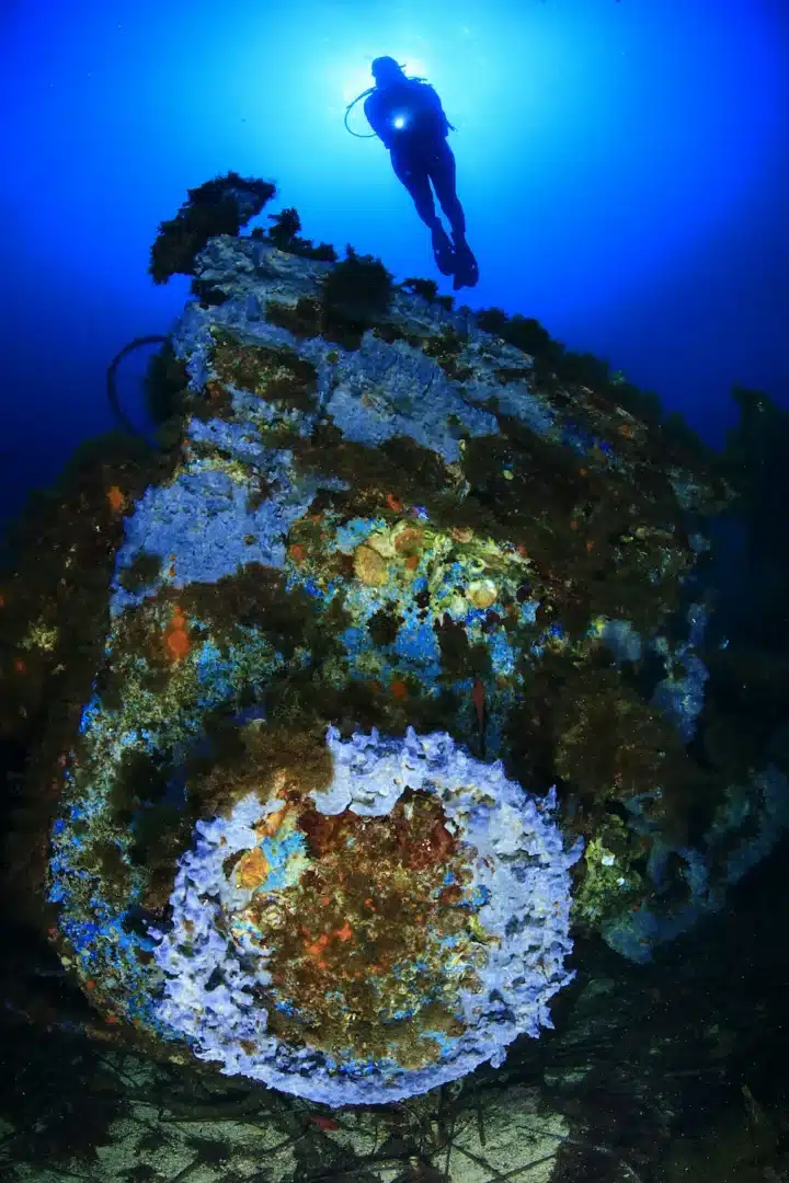 Water Sports: Diving In Ibiza.