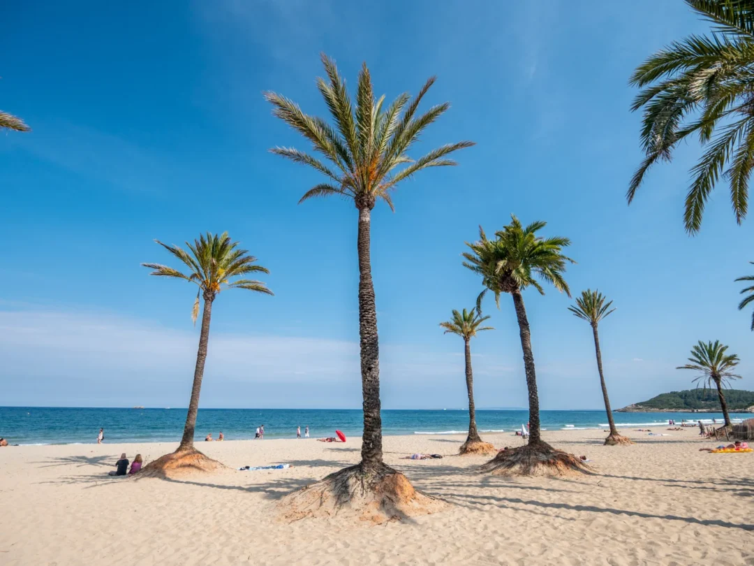 Ibiza'S Best Beach. Playa D'En Bossa