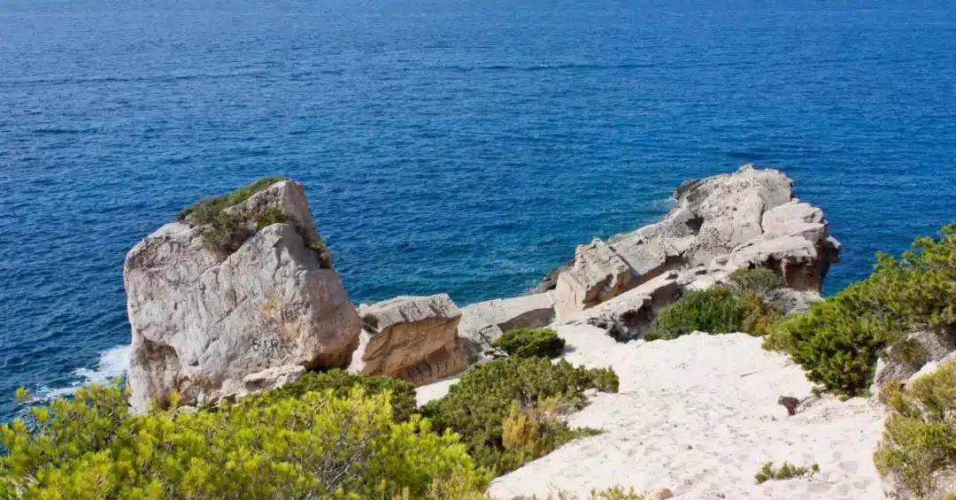 Diving, Snorkelling, Water Sports &Ndash; Atlantis Sa Pedrera Historical &Ndash; Living Ibiza