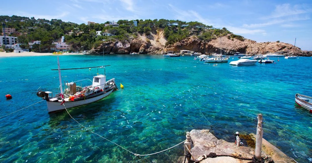 Nature &Ndash; Cala Vedella Beach Cove Ibiza &Ndash; Living Ibiza