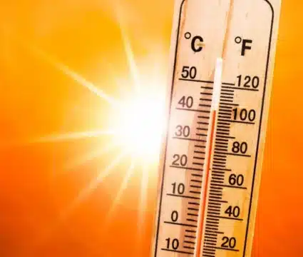 10 essential ways to beat the heatwave in Ibiza this week