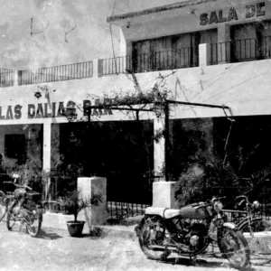 Las Dalias