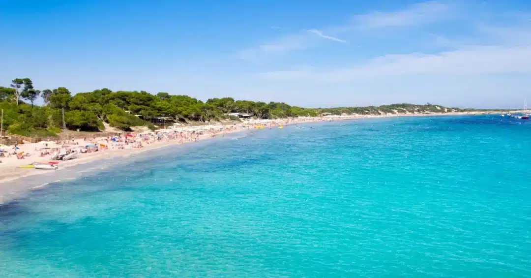 Cala, Diving, Nautical Sports, Snorkelling, Sunset Beach, Water Sports &Ndash; Las Salinas &Ndash; Living Ibiza