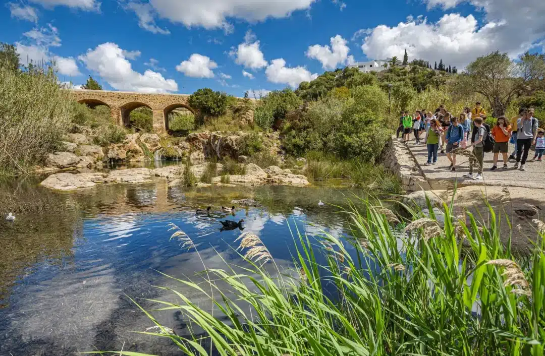 Urban Beaches, Villages &Ndash; Santa Eularia River 1 &Ndash; Living Ibiza