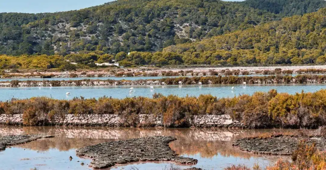 &Ndash; Ses Salines Hike &Ndash; Living Ibiza