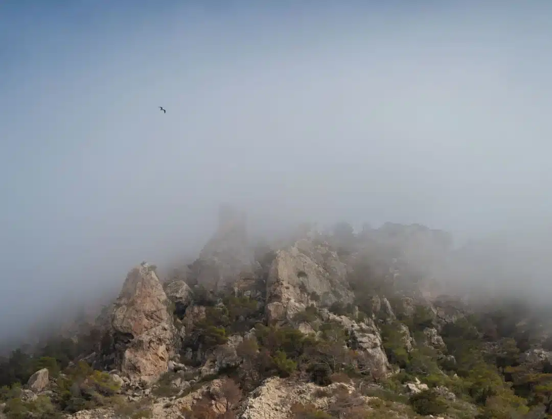 Hiking &Ndash; Cap Des Llibrell &Ndash; Living Ibiza