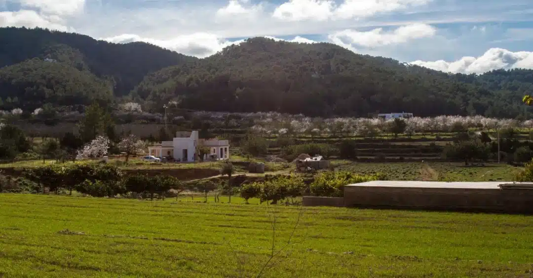 &Ndash; Sant Joan Countryside &Ndash; Living Ibiza