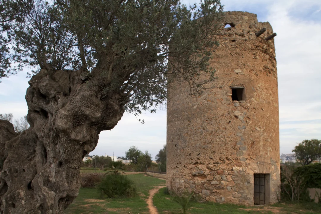 &Ndash; Torre De Ca Sa Blanca Dona Joan Costa 1 &Ndash; Living Ibiza