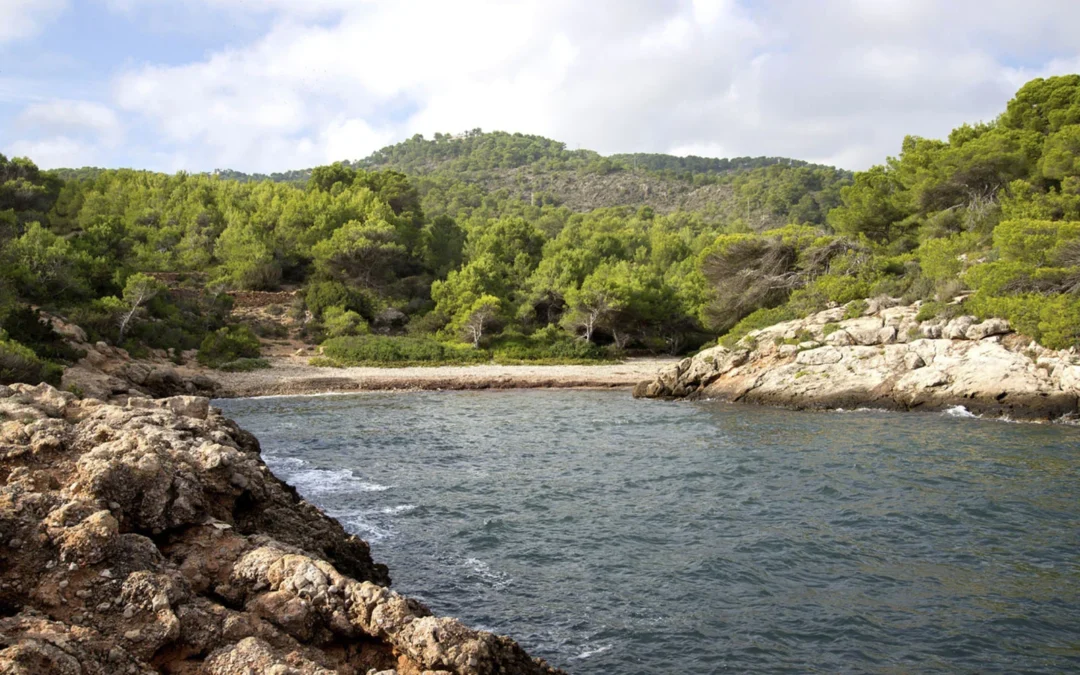 the great route cala espart – Living Ibiza Cala Espart