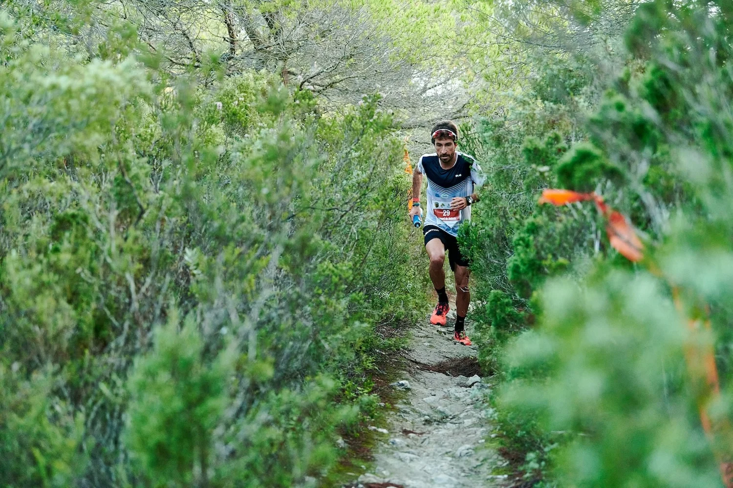 Ibiza Trail Marathon