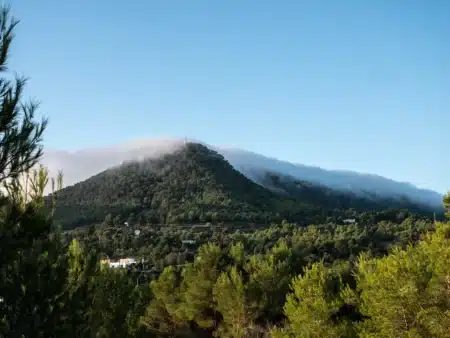 Have you seen Ibiza from above? This spectacular hiking route takes you to the island’s highest point