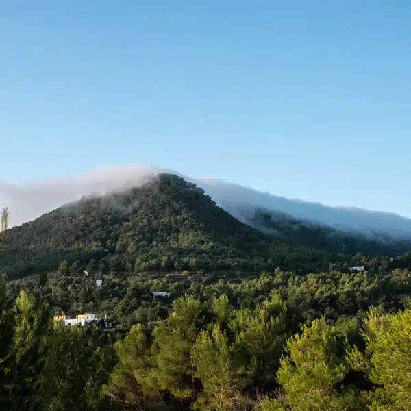 Have you seen Ibiza from above? This spectacular hiking route takes you to the island’s highest point