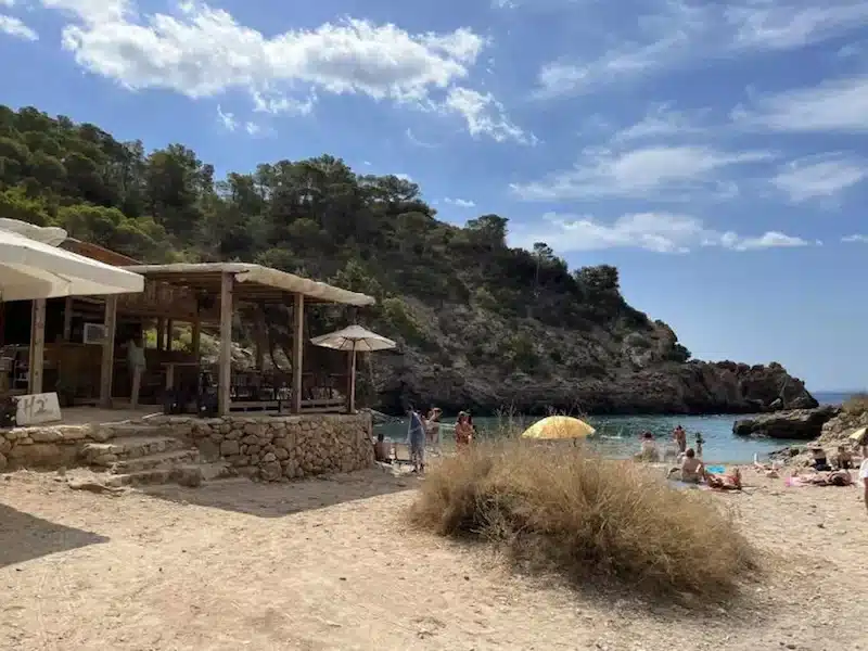 Cala, Snorkelling &Ndash; Sestanyol Di &Ndash; Living Ibiza