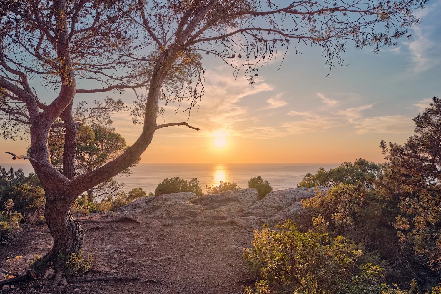 &Ndash; Sa Penya Esbarrada Istock 2 &Ndash; Living Ibiza