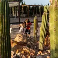 BIBO Park Ibiza Botánico Biotecnológico (1)