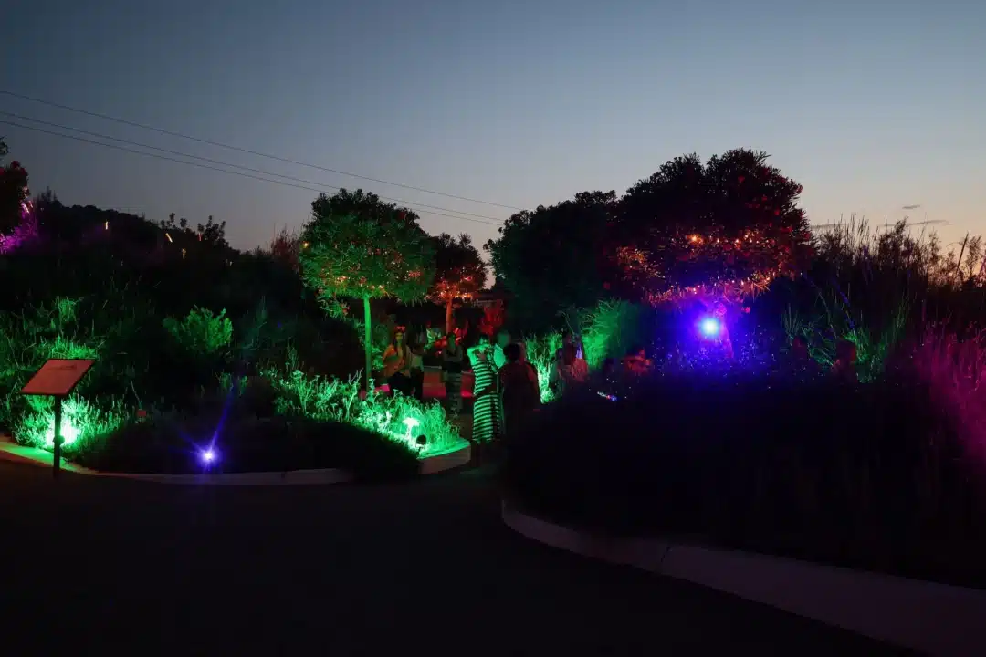 BIBO Park in Ibiza