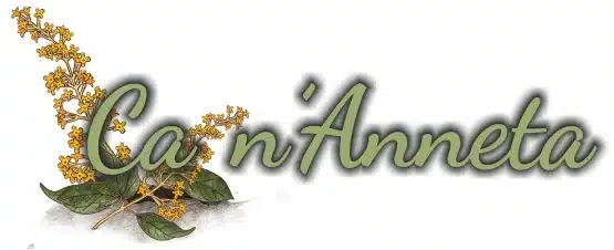 Bar Anita Ca-Nanneta-logo-con-flor