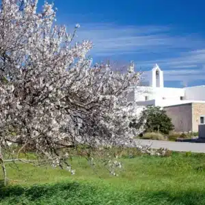 Hiking route: Pla de Corona