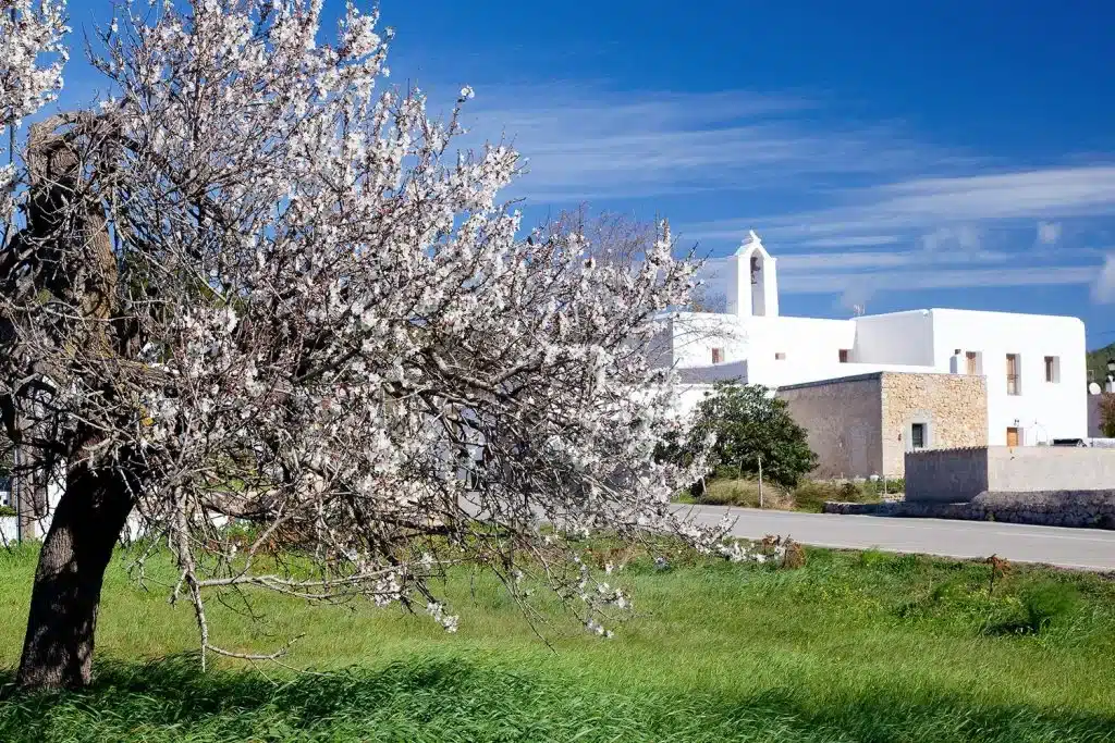 Hiking Route: Pla De Corona