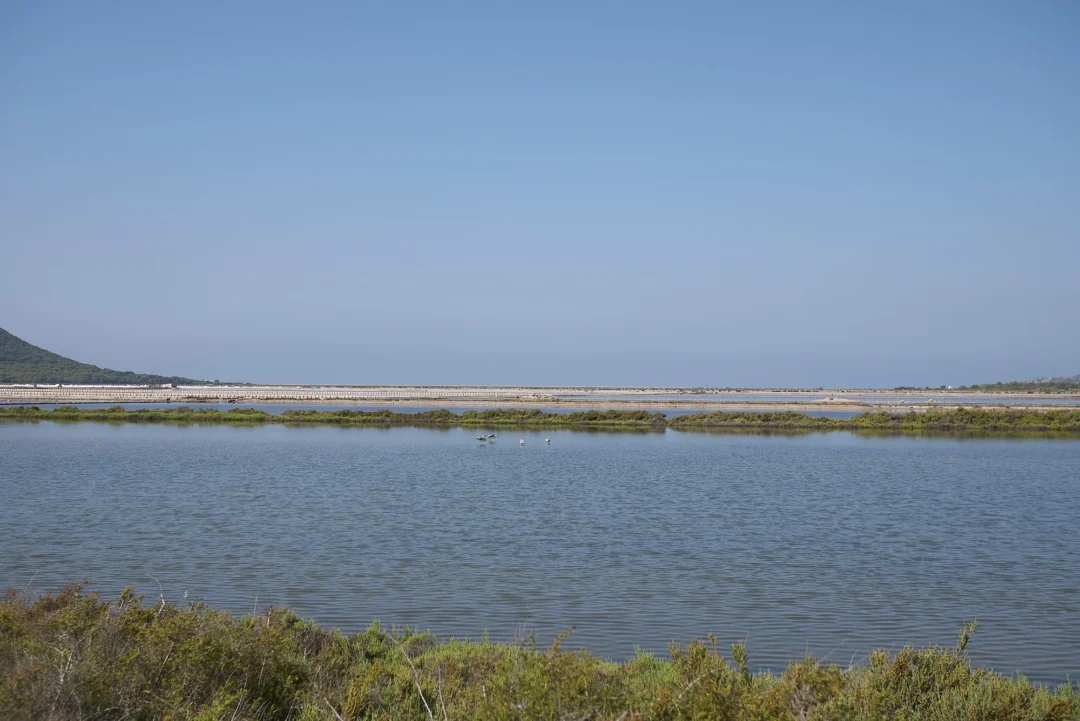 Natural Park, Nature, Tour &Ndash; Ses Salines Natural Park 3 &Ndash; Living Ibiza