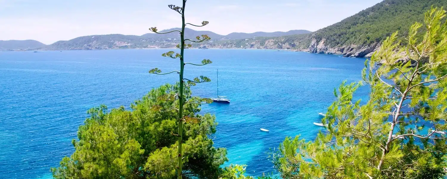 Pitiusas islands: Cala Sant Vicent in Ibiza
