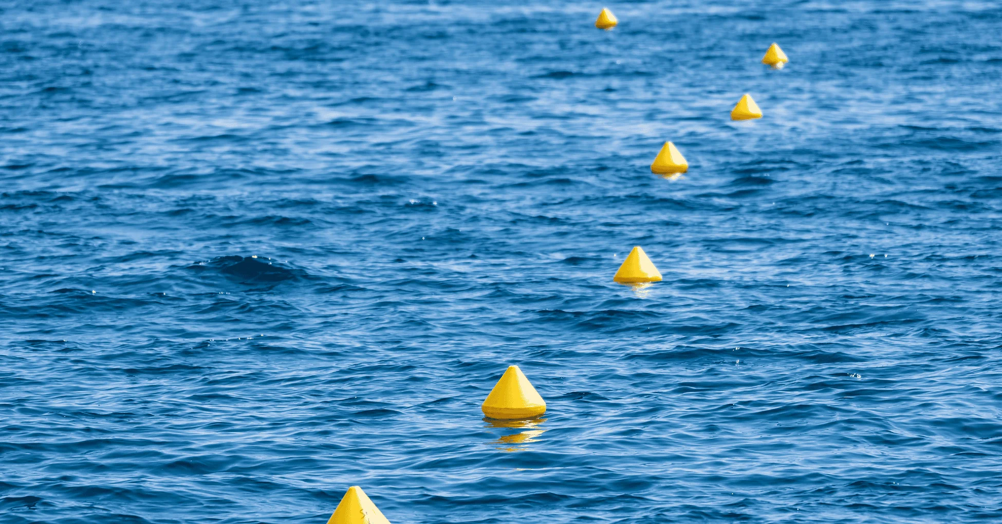 New Mooring Buoy Fields In Ibiza This Summer