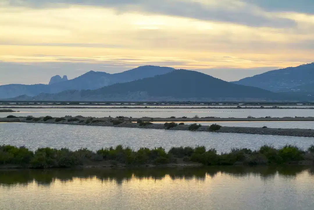 Salt Flats Ibiza