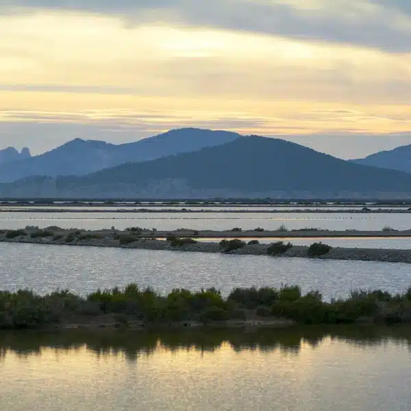 Ibiza before tourism: a history of farming, fishing and survival