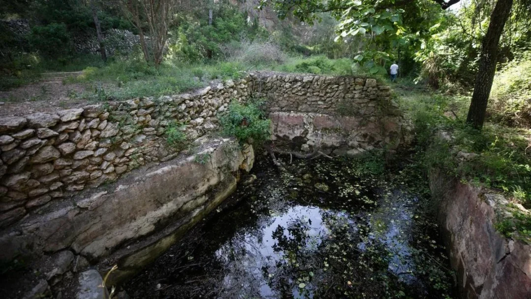 Water Conservation In Ibiza