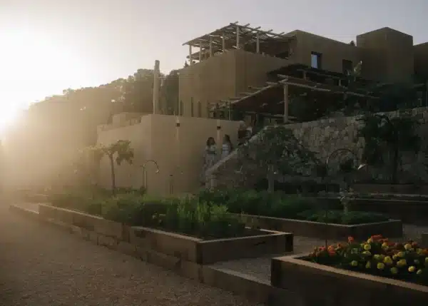 Madunia Ibiza