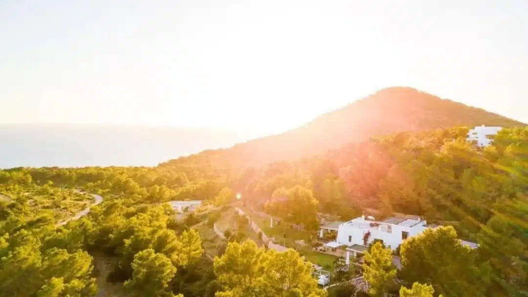 Luxury Ibiza Villa - Villa Limonero