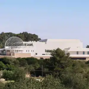 Unvrs Ibiza