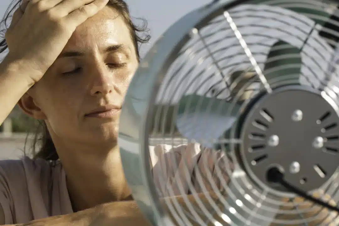 Heatwave