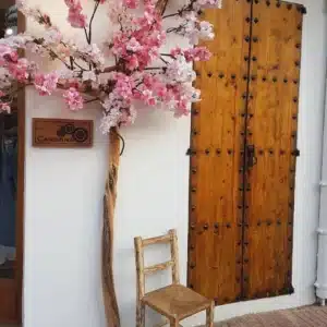 cardona ibiza lois