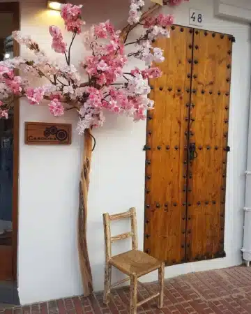 cardona ibiza lois