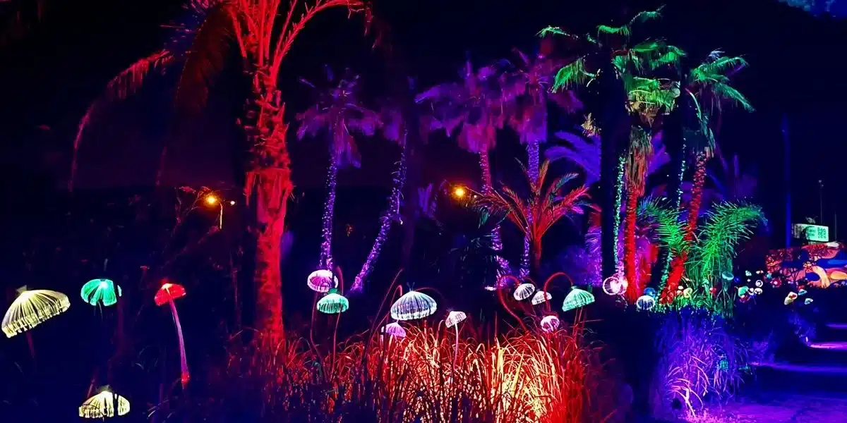 Astro Magic Lights at BiBo Park