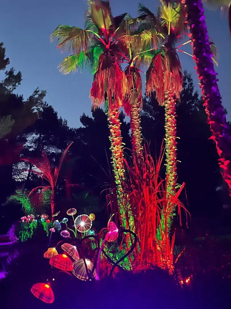 Astro Magic Lights At Bibo Park 