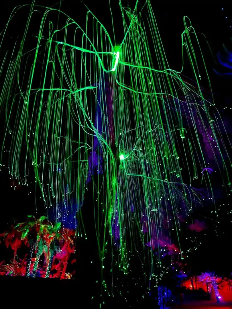 Astro Magic Lights At Bibo Park 