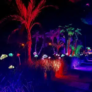 Astro Magic Lights At Bibo Park
