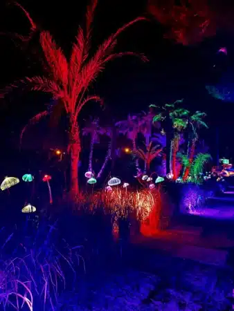Astro Magic Lights at BiBo Park