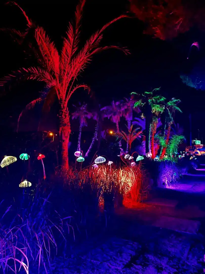 Astro Magic Lights at BiBo Park