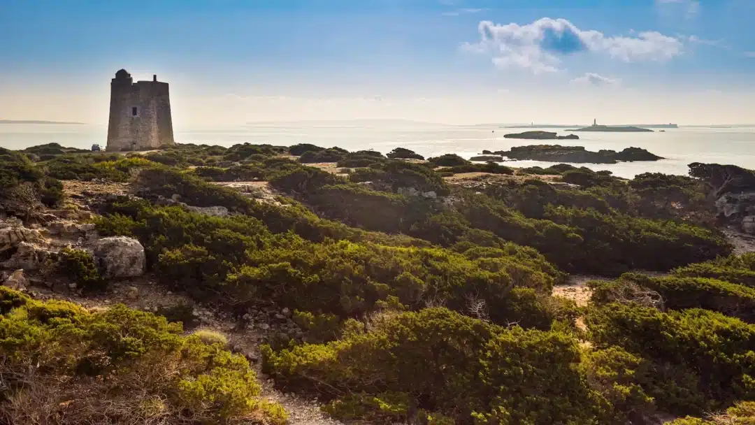 iStock 1223762752 – Living Ibiza Ses Salines Defence Tower
