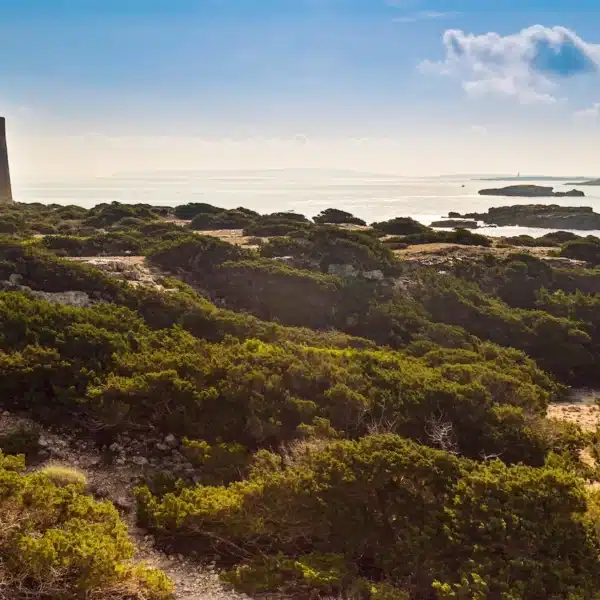 Family routes in Ibiza: discover the easy 2k trail from ses Salines to ses Portes tower