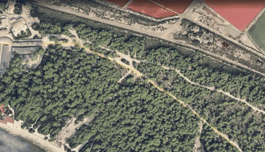 ses salines trail 2 – Living Ibiza Ses Salines Trail 2