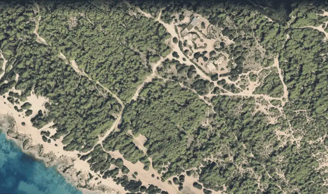 ses salines trail 3 – Living Ibiza Ses Salines Trail 2