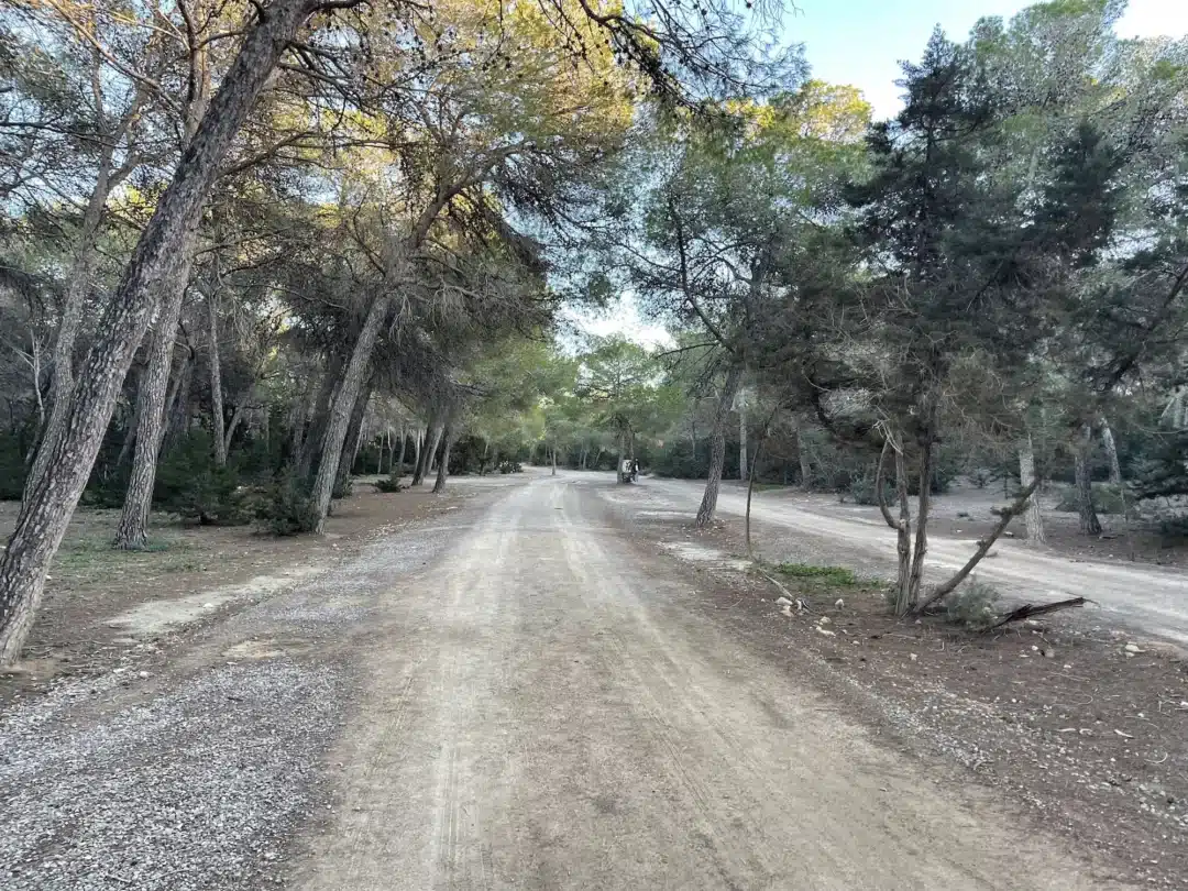 ses salines trail 5 – Living Ibiza Ses Salines: Family Routes