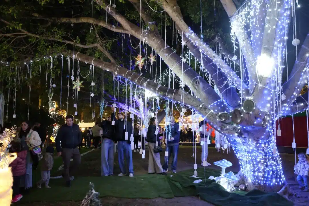 Sant Antoni 2 – Living Ibiza Christmas In Sant Antoni